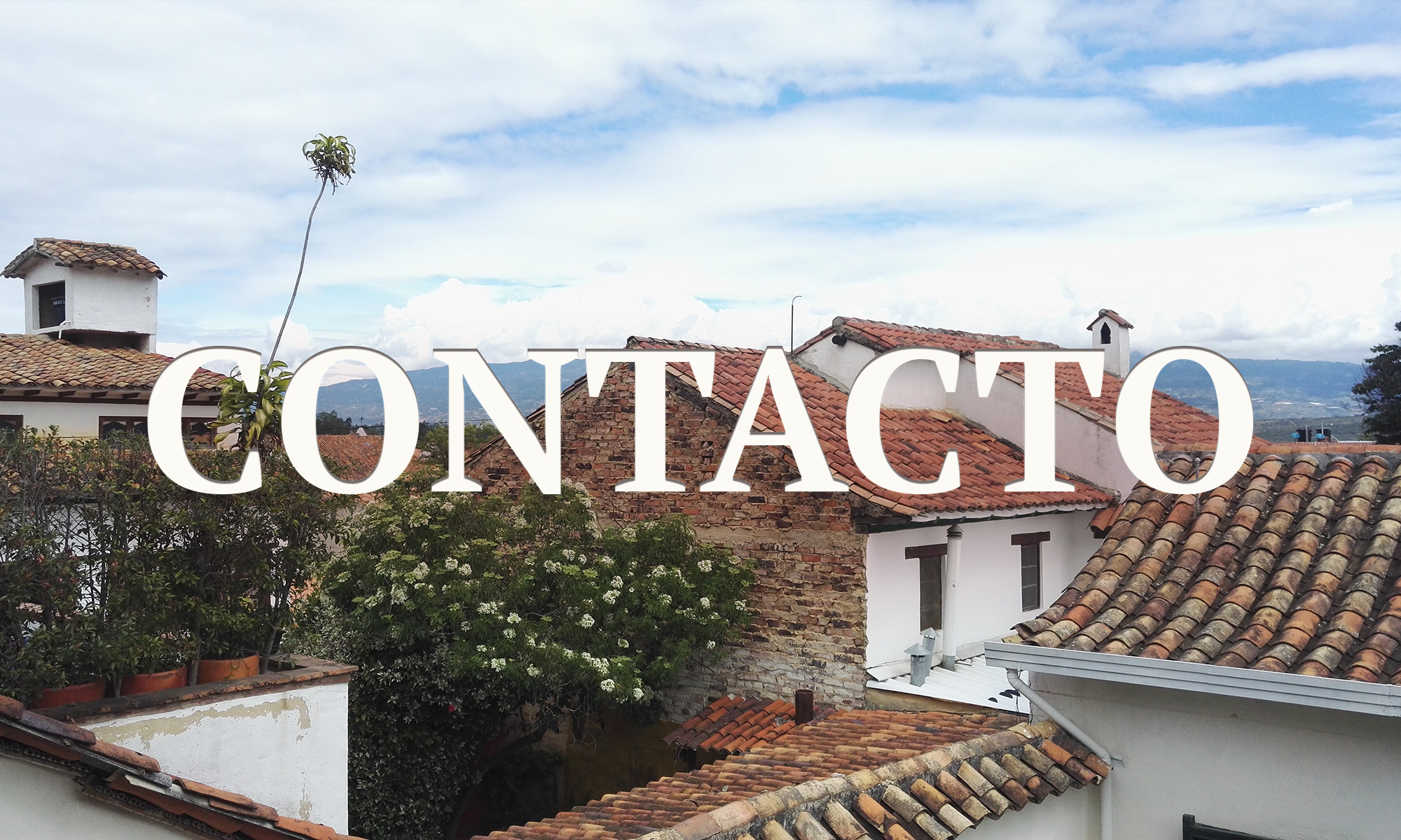 Contacto Carolina González